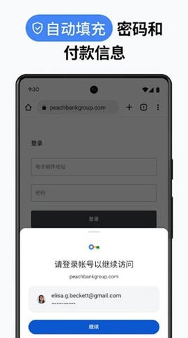 谷歌浏览器google chrome 136.0.7103.125 最新版 2