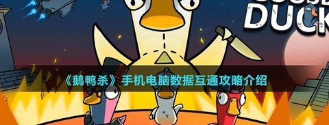 鹅鸭杀手机电脑互通吗，鹅鸭杀手机电脑账号可以一起玩吗