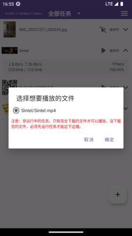 TorrentPlayer 0.4 最新版 2