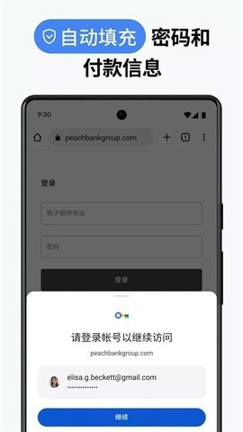 谷歌浏览器国际版 136.0.7103.125 官方版 2