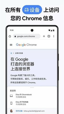 谷歌浏览器国际版 136.0.7103.125 官方版 1