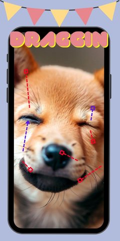 DragGAN AI v1.0 手机版 3