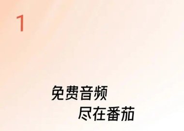 番茄畅听怎么填写邀请码