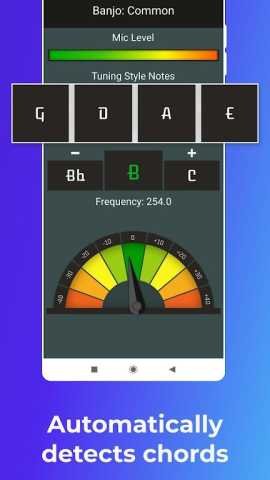 Instrument Tuner 1.18.2.0 最新版 3