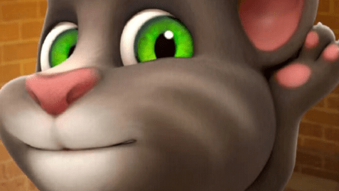 tom猫