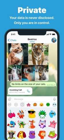 telephone 11.12.0 最新版 2