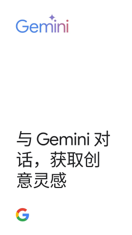 Gemini 1.0.751104895 最新版 3