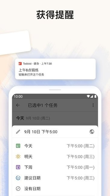 Todoist v11604 免费版 3