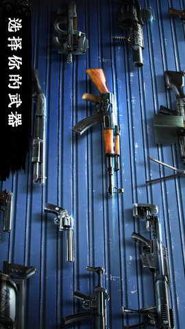丧尸危机 1.0 安卓版 9