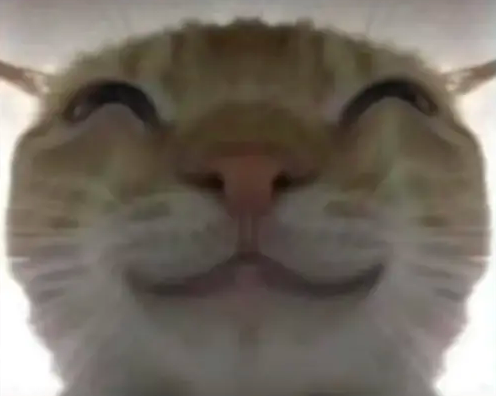 screenshot_2025-01-03_16-49-44.png