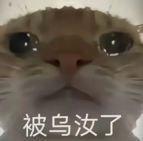 screenshot_2025-01-03_16-48-35.png