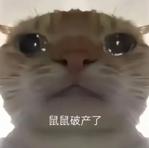 screenshot_2025-01-03_16-47-54.png