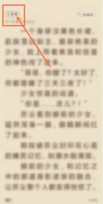 必阅小说如何选择章节