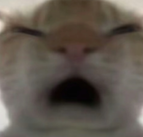 screenshot_2025-01-16_11-49-37.png