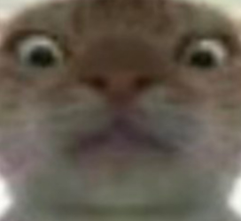 screenshot_2025-02-10_15-43-40.png