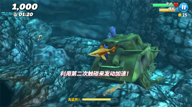 饥饿鲨世界东南亚服 v6.5.6 安卓版 3