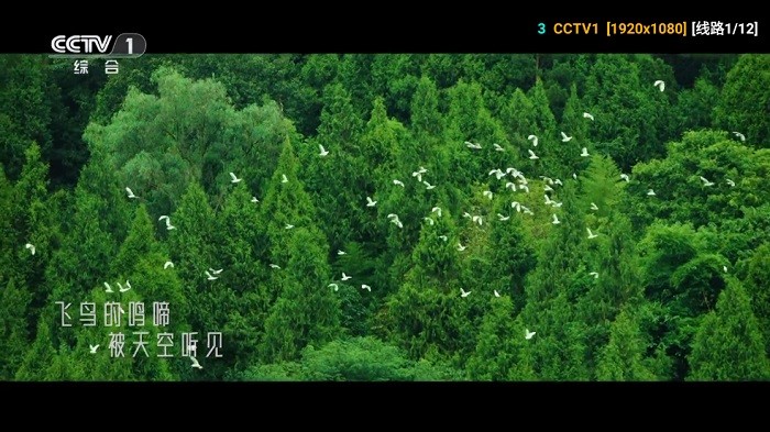 星云影视 5.0.47.1 最新版 1