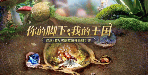 小小蚁国手游