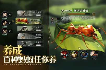小小蚁国37版本 1.90.0 最新版 2