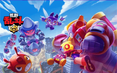 荒野乱斗版本合集