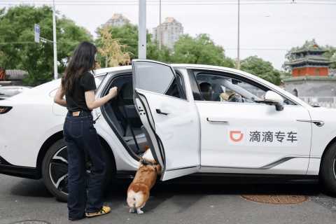 带宠物打车软件