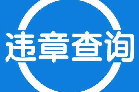 违章查询缴费app下载-违章查询缴费下载什么软件-违章查询app哪个好用