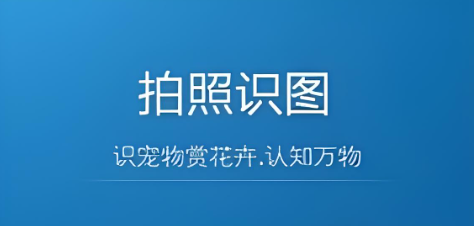 识图
