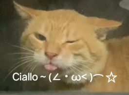 screenshot_2025-04-22_14-12-43.png