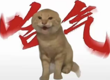 screenshot_2025-04-22_14-21-26.png