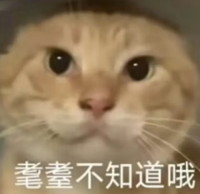 screenshot_2025-04-22_14-21-17.png
