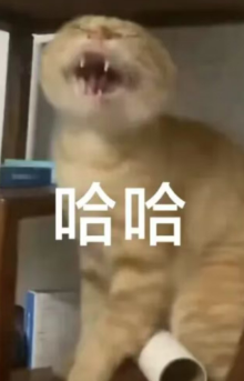 screenshot_2025-04-22_14-20-58.png
