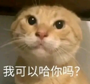 screenshot_2025-05-09_16-47-52.png