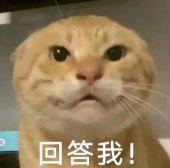 screenshot_2025-05-09_17-01-20.png