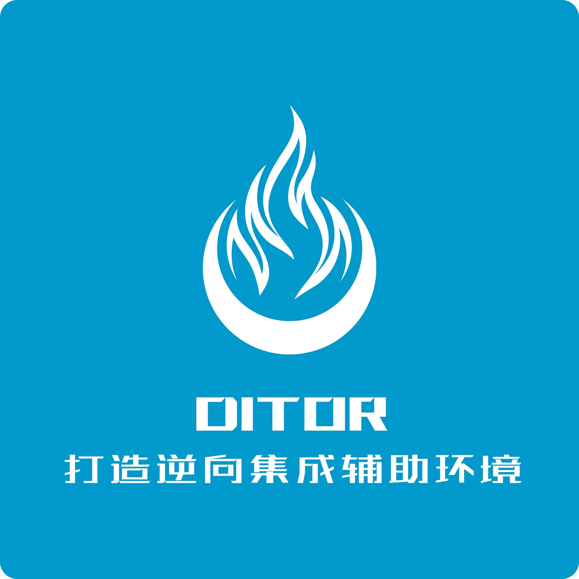 DITOR 3.0 官方版