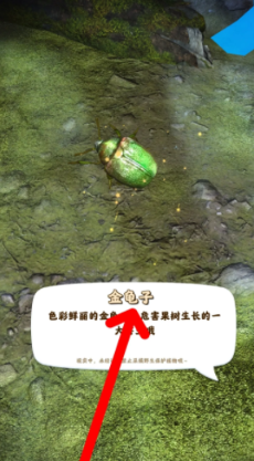 screenshot_2025-05-14_15-49-56.png