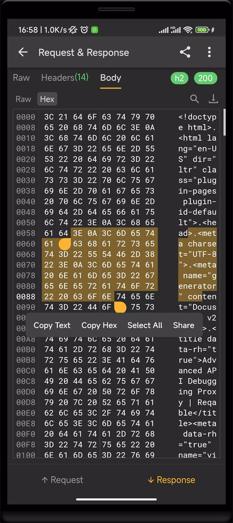 Reqable 2.33.12 最新版 3