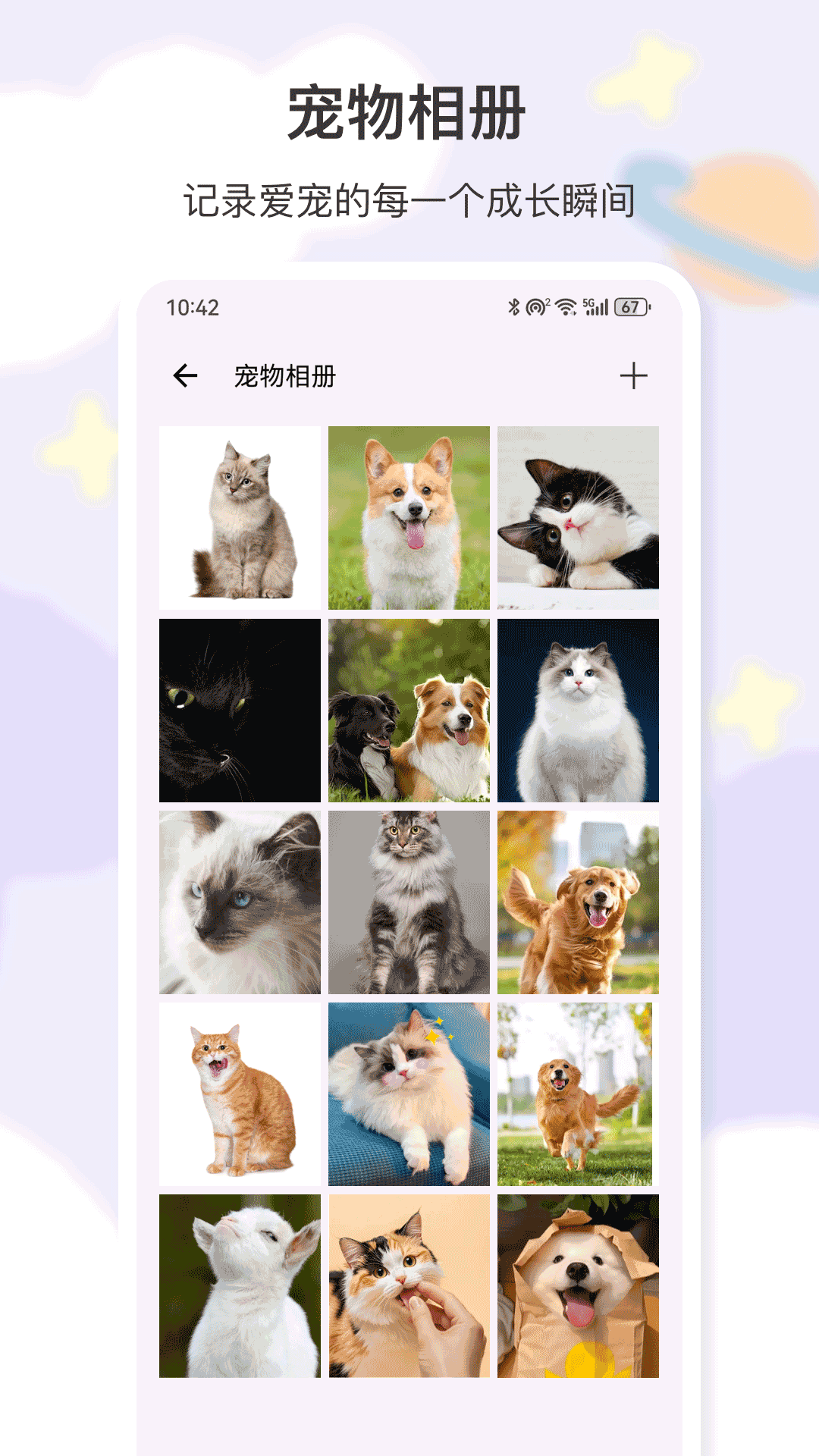 猫叫 25.6.8 安卓版 3