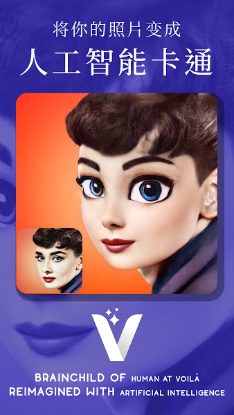 Voila 3.1 (362) 最新版 2
