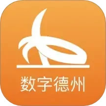 数字德州