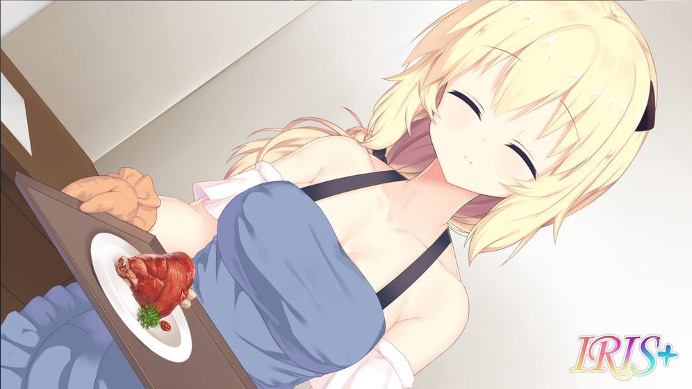 Iris v2.0.4 安卓版 3