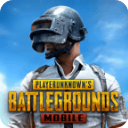 PUBG国际服地铁逃生