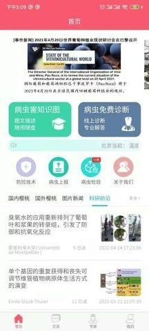 樱桃医生 1.4.7 安卓版 1