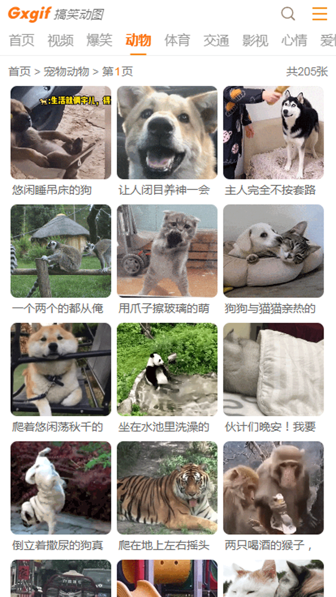 搞笑动图 1.1.6 安卓版 2