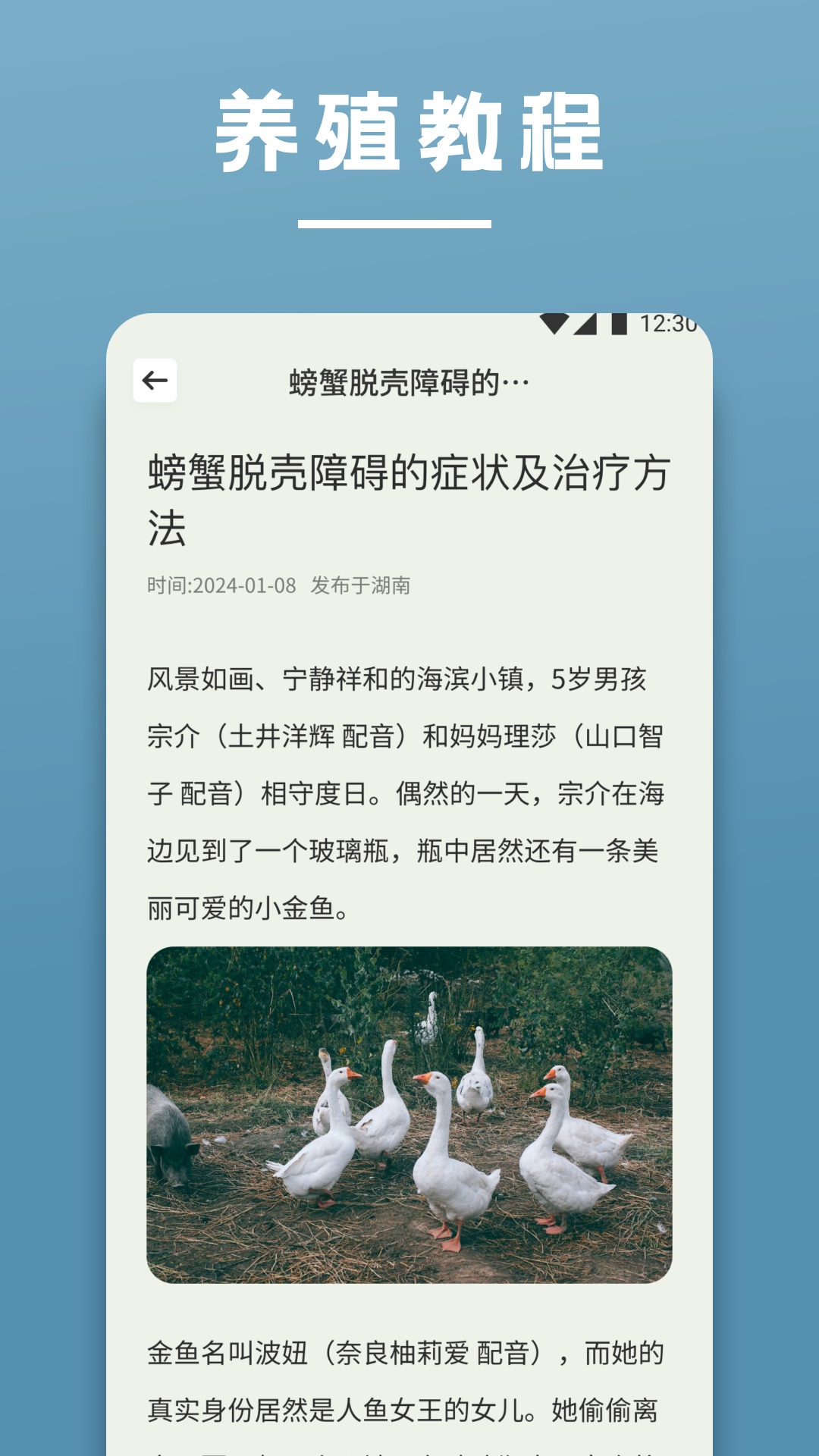 阳光养猪场 1.2 安卓版 1