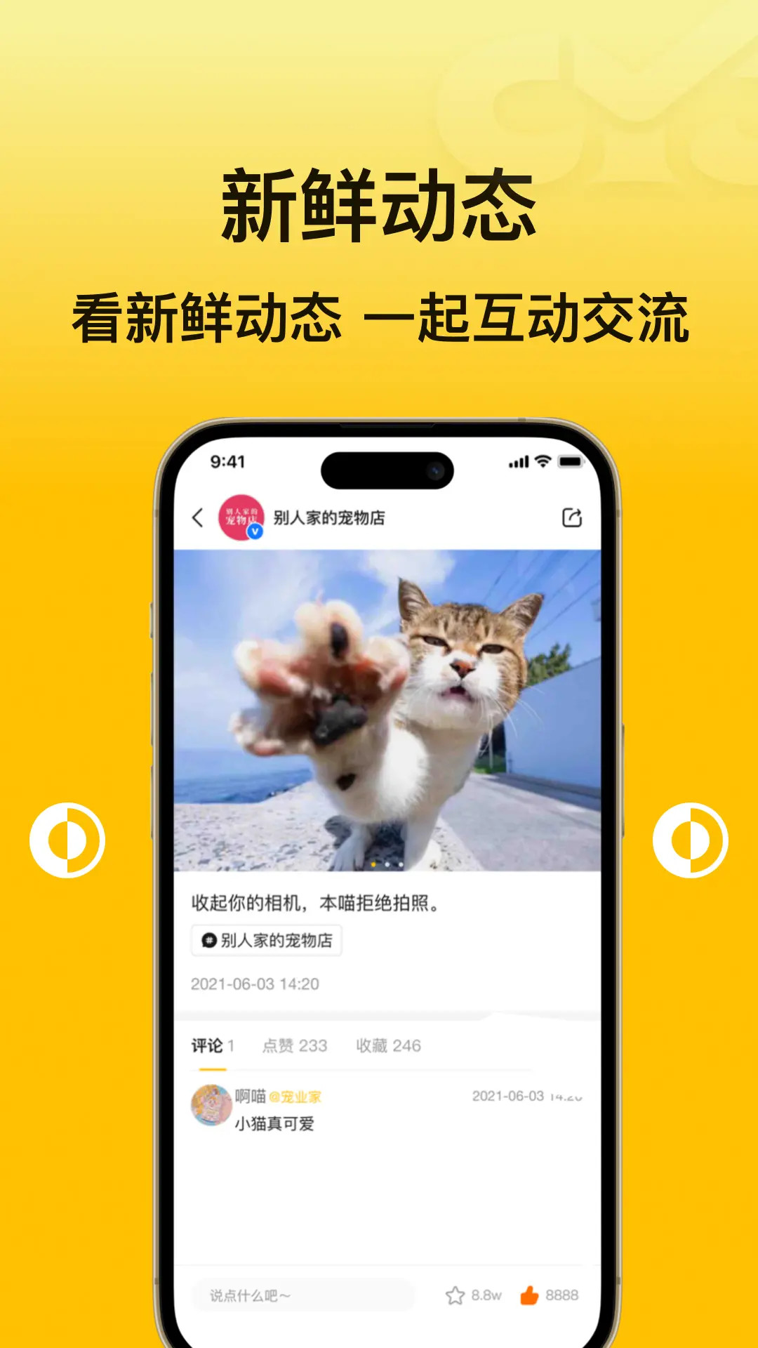 宠业家 4.0.3 安卓版 1