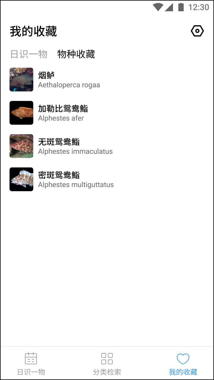 奇妙海洋 1.0 安卓版 3