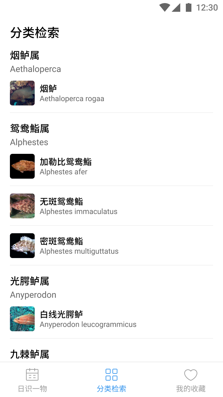 奇妙海洋 1.0 安卓版 1