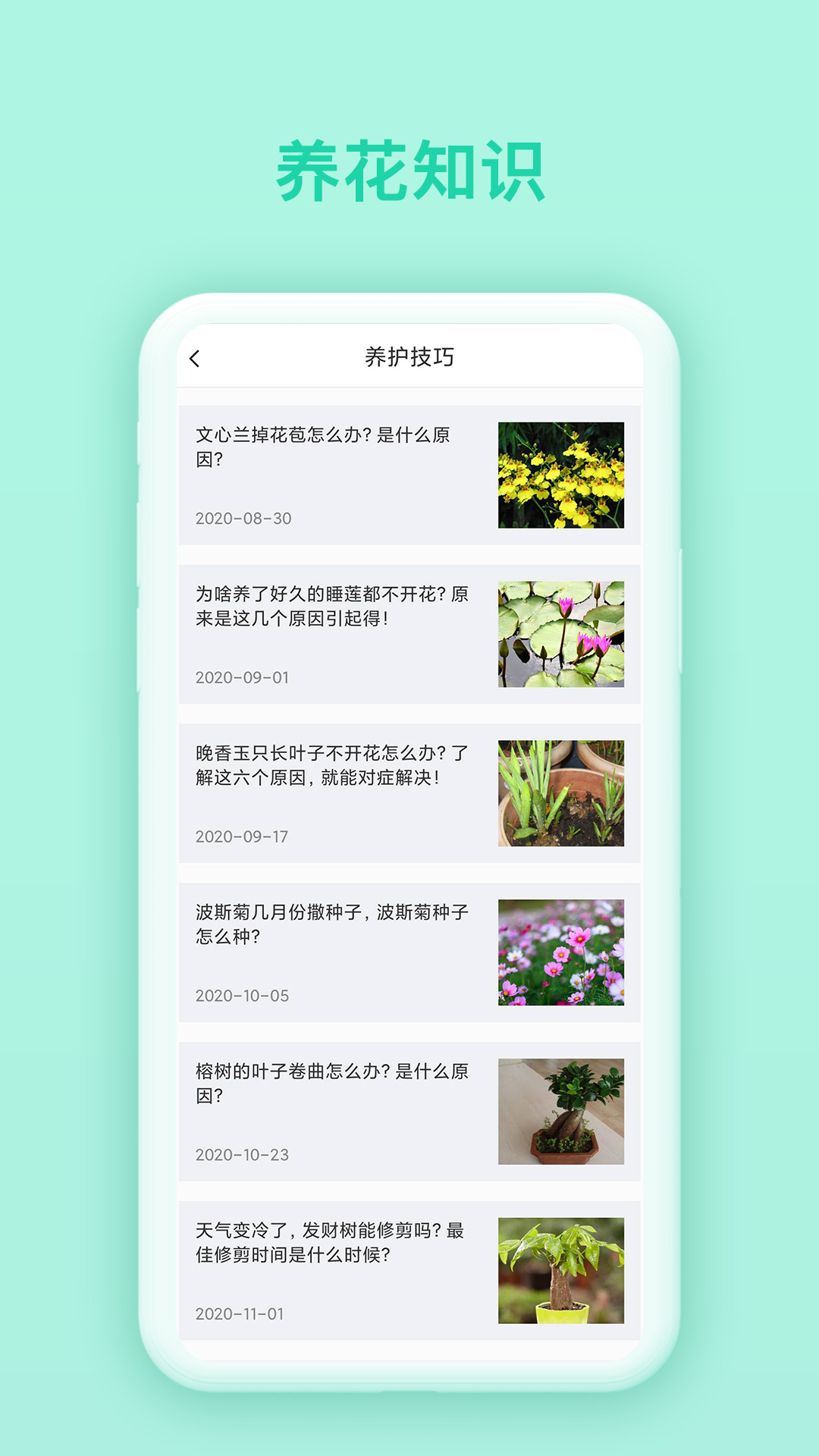 万物识别 6.0.3 安卓版 1