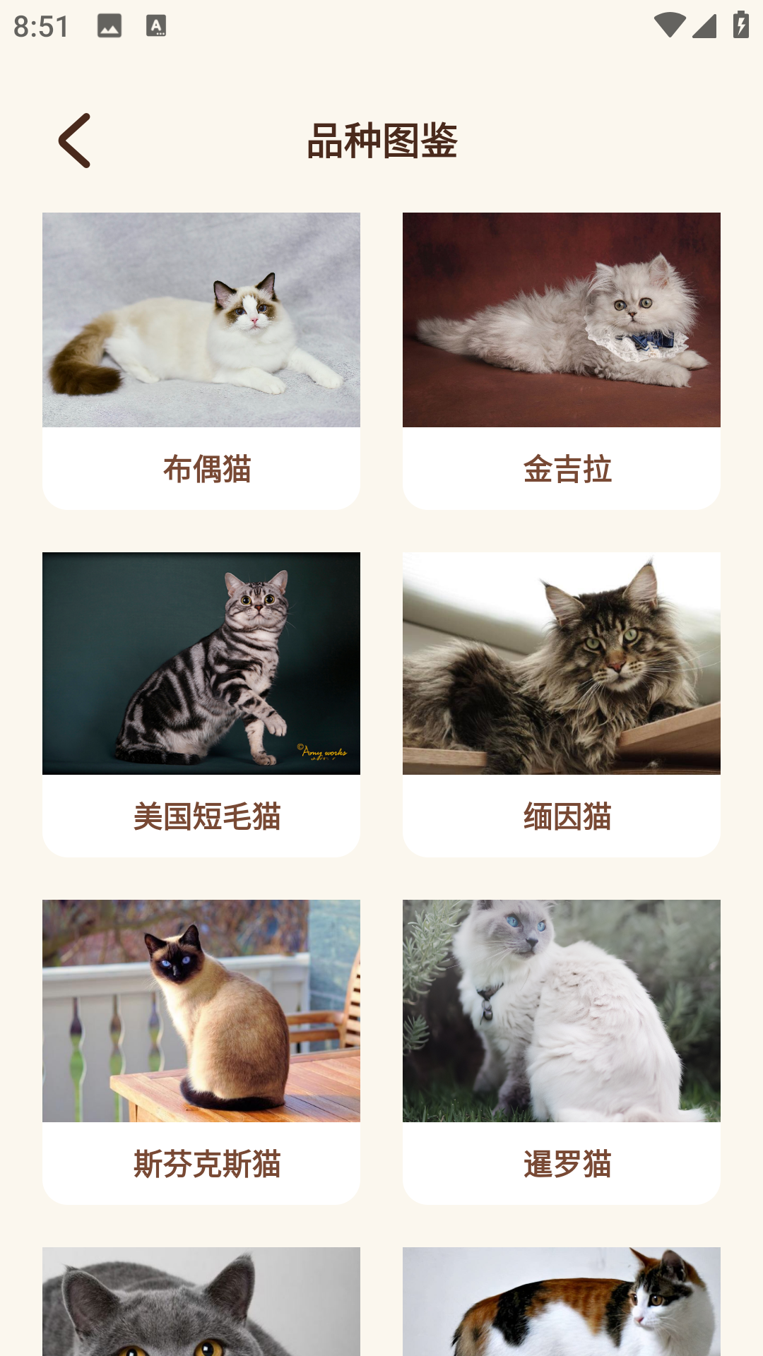 Peppycat猫语翻译器 1.0.3 安卓版 3