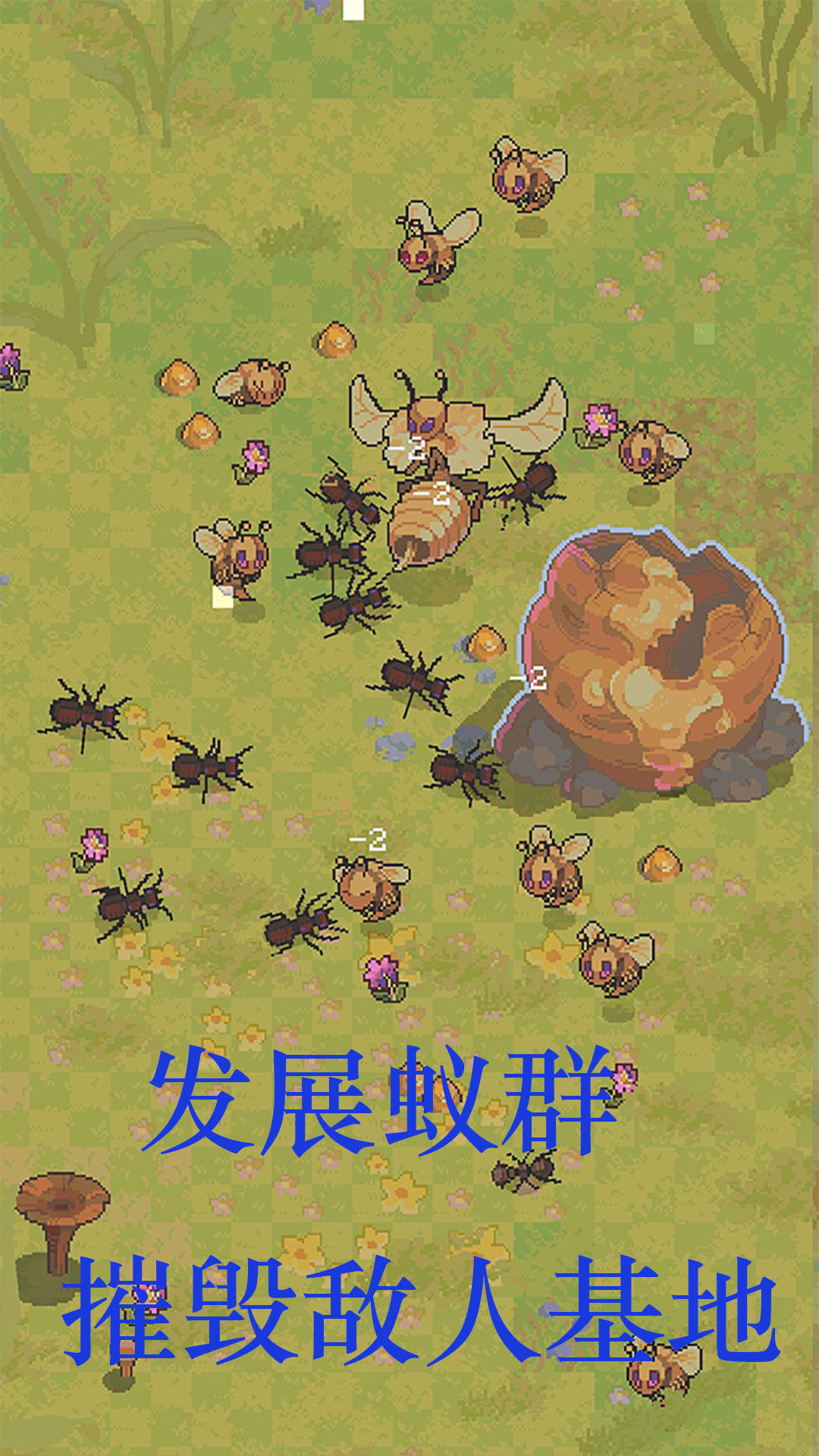 蚂蚁王国崛起 5 安卓版 2